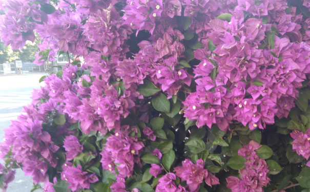 宁波学雅思的地方 宁波学雅思的地方