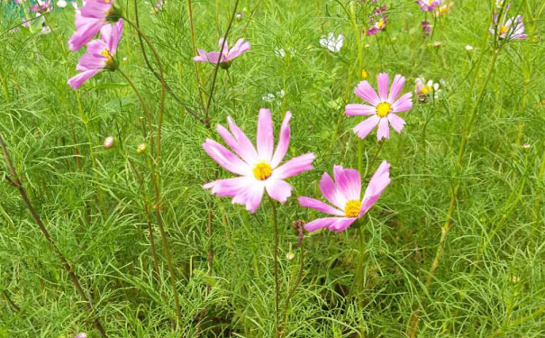 南昌市东湖区视觉设计培训机构_多少钱