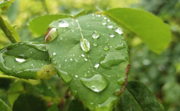 石家庄长安区视觉设计培训机构_多少钱