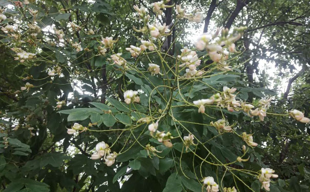 佛山禅城区视觉设计培训机构_多少钱