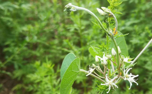 合肥视觉设计培训机构_多少钱