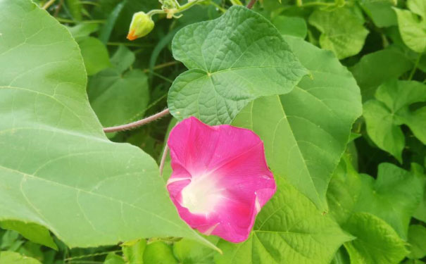 东莞南城区视觉设计培训机构_多少钱