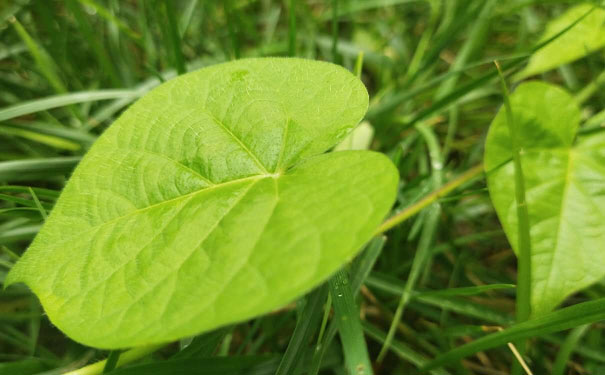 上海普陀区教师证报名_考试_报考条件