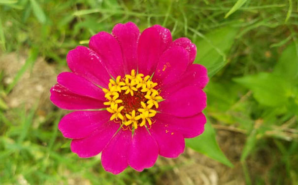 鄂尔多斯教师证报名_考试_报考条件