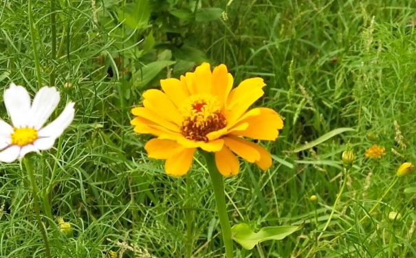 山西教师证报名_考试_报考条件