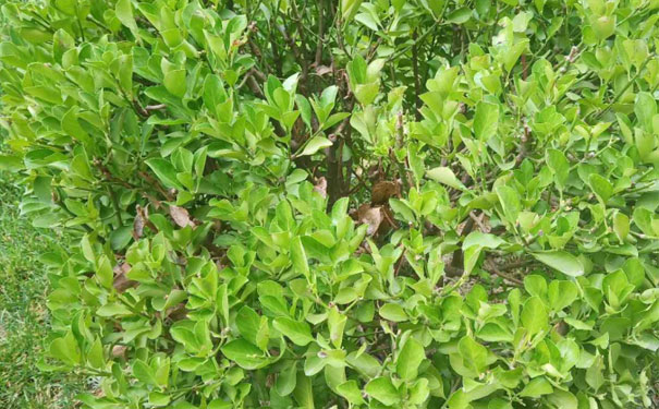 阳泉教师证报名_考试_报考条件