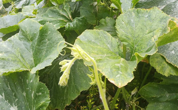 长治教师证报名_考试_报考条件