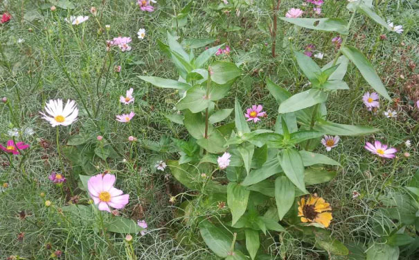 忻州教师证报名_考试_报考条件