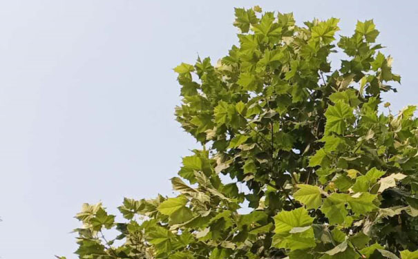 台州教师证报名_考试_报考条件