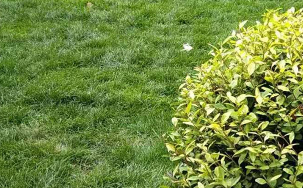 金华教师证报名_考试_报考条件