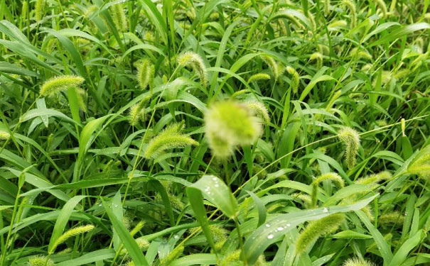 福建教师证报名_考试_报考条件