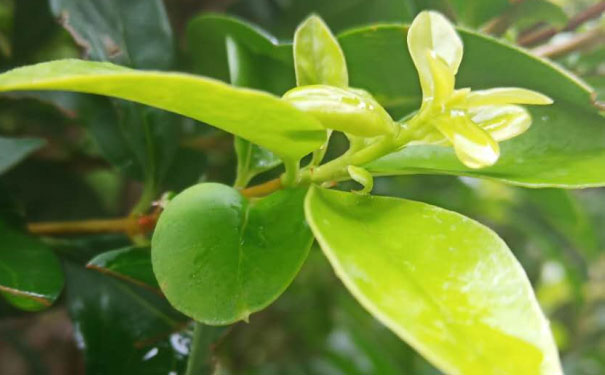 赣州教师证报名_考试_报考条件