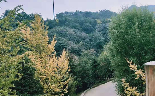 湖南教师证报名_考试_报考条件