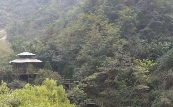 娄底教师证报名_考试_报考条件