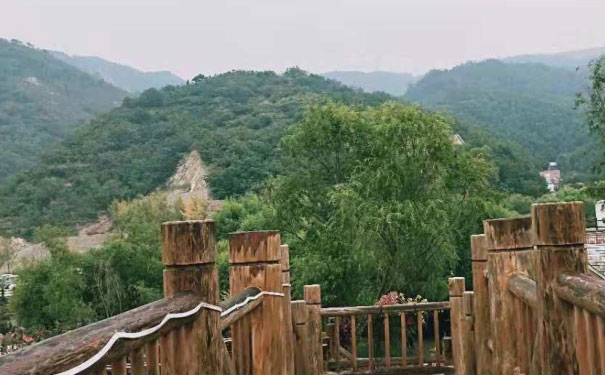 漯河教师证报名_考试_报考条件