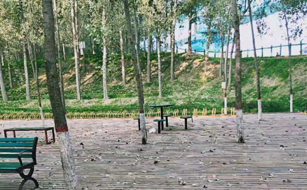 咸宁教师证报名_考试_报考条件