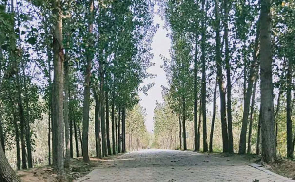 黄石教师证报名_考试_报考条件