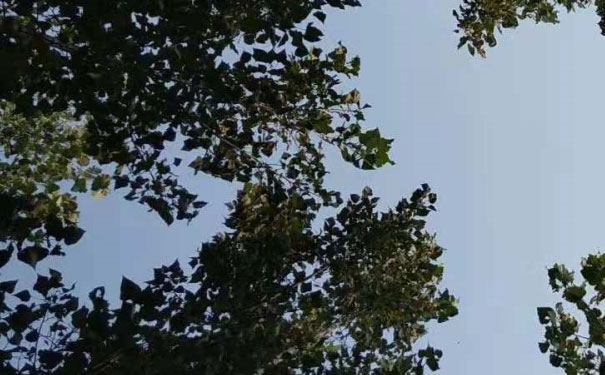 随州教师证报名_考试_报考条件