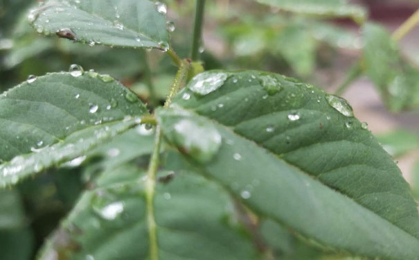 泸州教师证报名_考试_报考条件