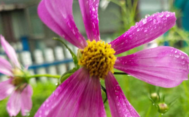 攀枝花教师证报名_考试_报考条件