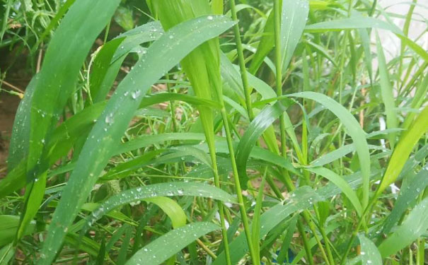 达州教师证报名_考试_报考条件