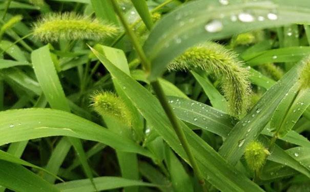 玉溪教师证报名_考试_报考条件