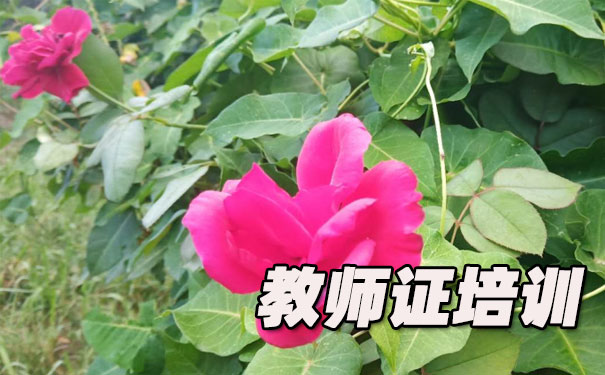 海口教师证报名_考试_报考条件