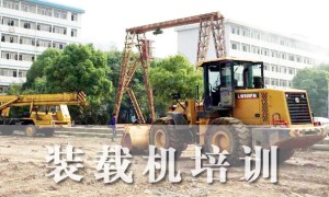 成都铲车培训哪里好 – 多少钱