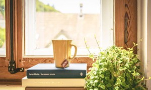 佛山禅城区英语培训机构排名_价格价目表