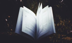 佛山顺德区英语培训机构排名_价格价目表