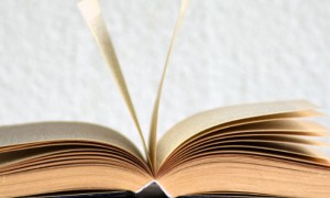 惠州英语培训机构排名_价格价目表