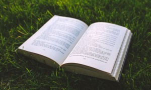 厦门英语培训机构排名_价格价目表