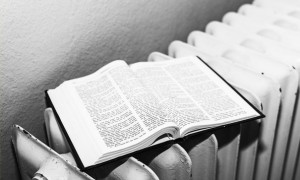 重庆南岸区英语培训机构排名_价格价目表