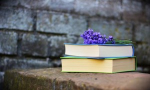 重庆渝北区英语培训机构排名_价格价目表