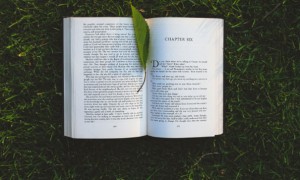 绵阳英语培训机构排名_价格价目表