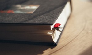 绵阳涪城区英语培训机构排名_价格价目表