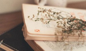 广州海珠区美联英语立刻说怎么样_怎么收费