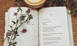 深圳美联英语立刻说怎么样_怎么收费