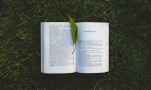 深圳福田区美联英语立刻说怎么样_怎么收费