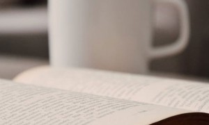 深圳龙华区美联英语立刻说怎么样_怎么收费