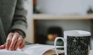 东莞美联英语立刻说怎么样_怎么收费