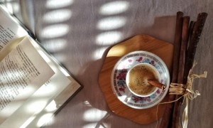 东莞厚街镇美联英语立刻说怎么样_怎么收费