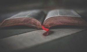 长沙开福区美联英语立刻说怎么样_怎么收费