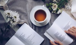 长沙岳麓区美联英语立刻说怎么样_怎么收费