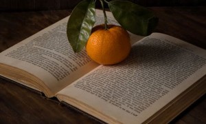 武汉洪山区美联英语立刻说怎么样_怎么收费