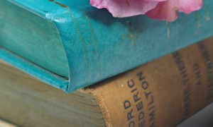 沈阳美联英语立刻说怎么样_怎么收费