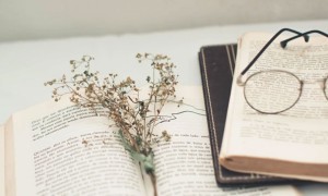 沈阳和平区美联英语立刻说怎么样_怎么收费