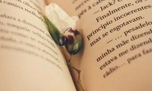 合肥瑶海区美联英语立刻说怎么样_怎么收费