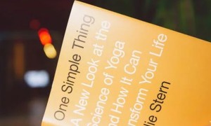 成都金牛区美联英语立刻说怎么样_怎么收费