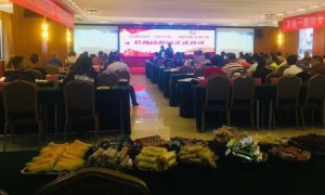 开封人力资源管理师报名报考条件_考试时间